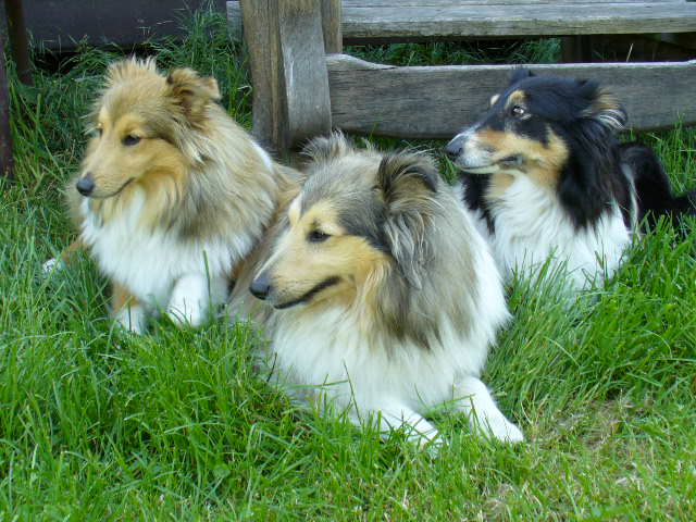 červen 2009-Vasco,Pepi a Niki